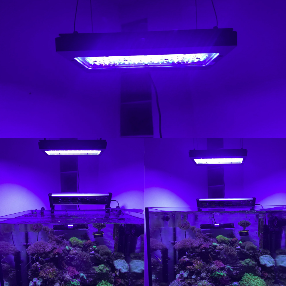 A8se Pro III MAX Blu 240W Luce - Aquarium Blue Marine recensione e prezzo