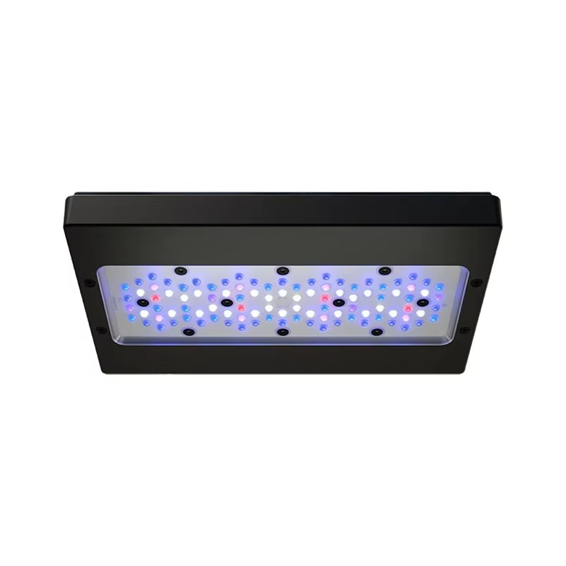 A8 Pro Blu 215W AC 110-240V Co - Aquarium Blue Marine recensione e prezzo