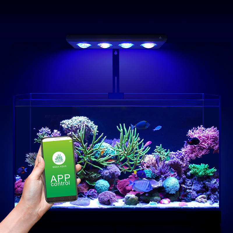 ZXY Vendita Calda WEEKAQUA Z25 - Aquarium Blue Marine recensione e prezzo