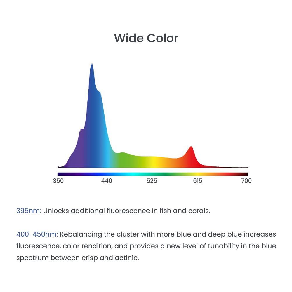AIPAI A8 SE II MAX/Blue 240W L - Aquarium Blue Marine recensione e prezzo
