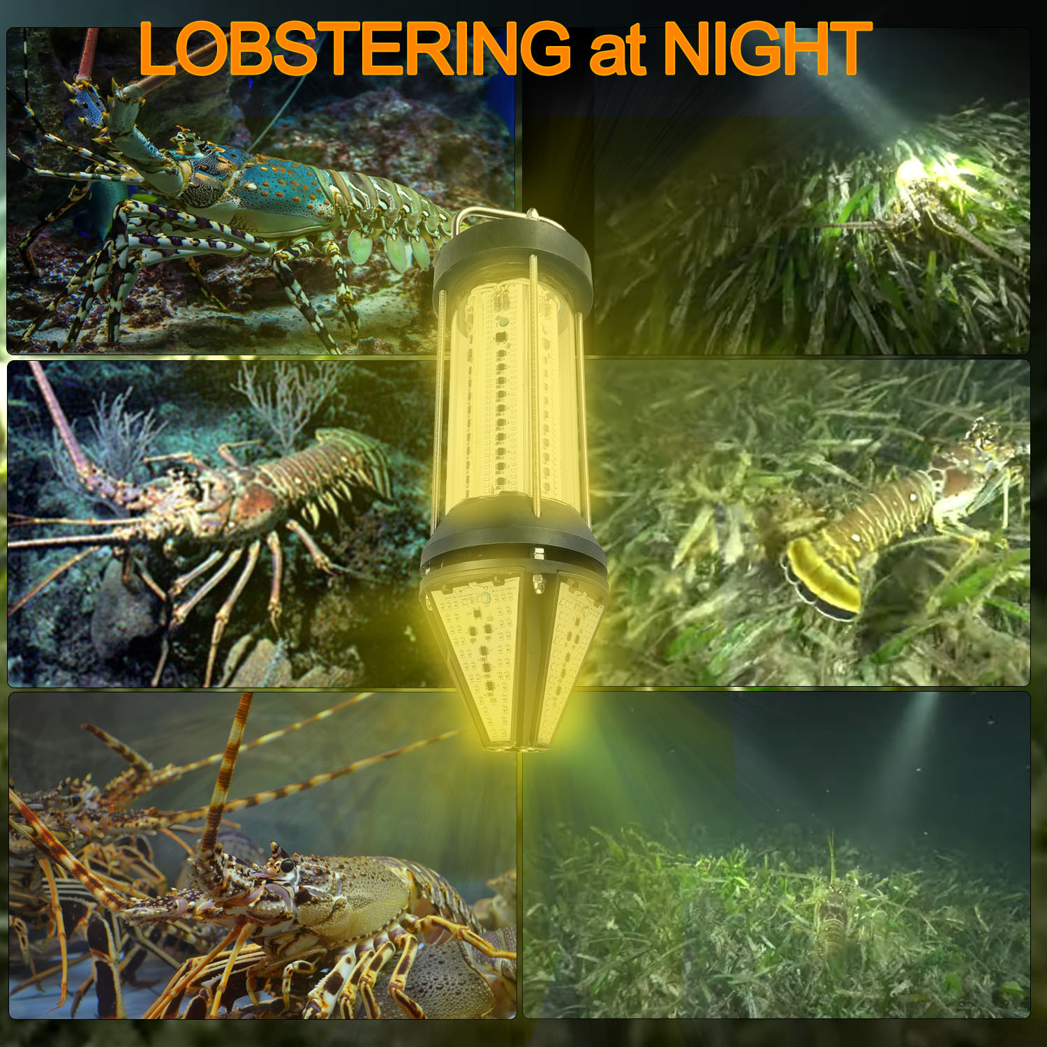 Luce Subacquea NS Verde Blu Bi - Aquarium Blue Marine recensione e prezzo