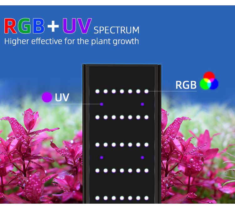 WEEK AQUA Serie L Controllo AP - Marine Aquarium Led recensione e prezzo