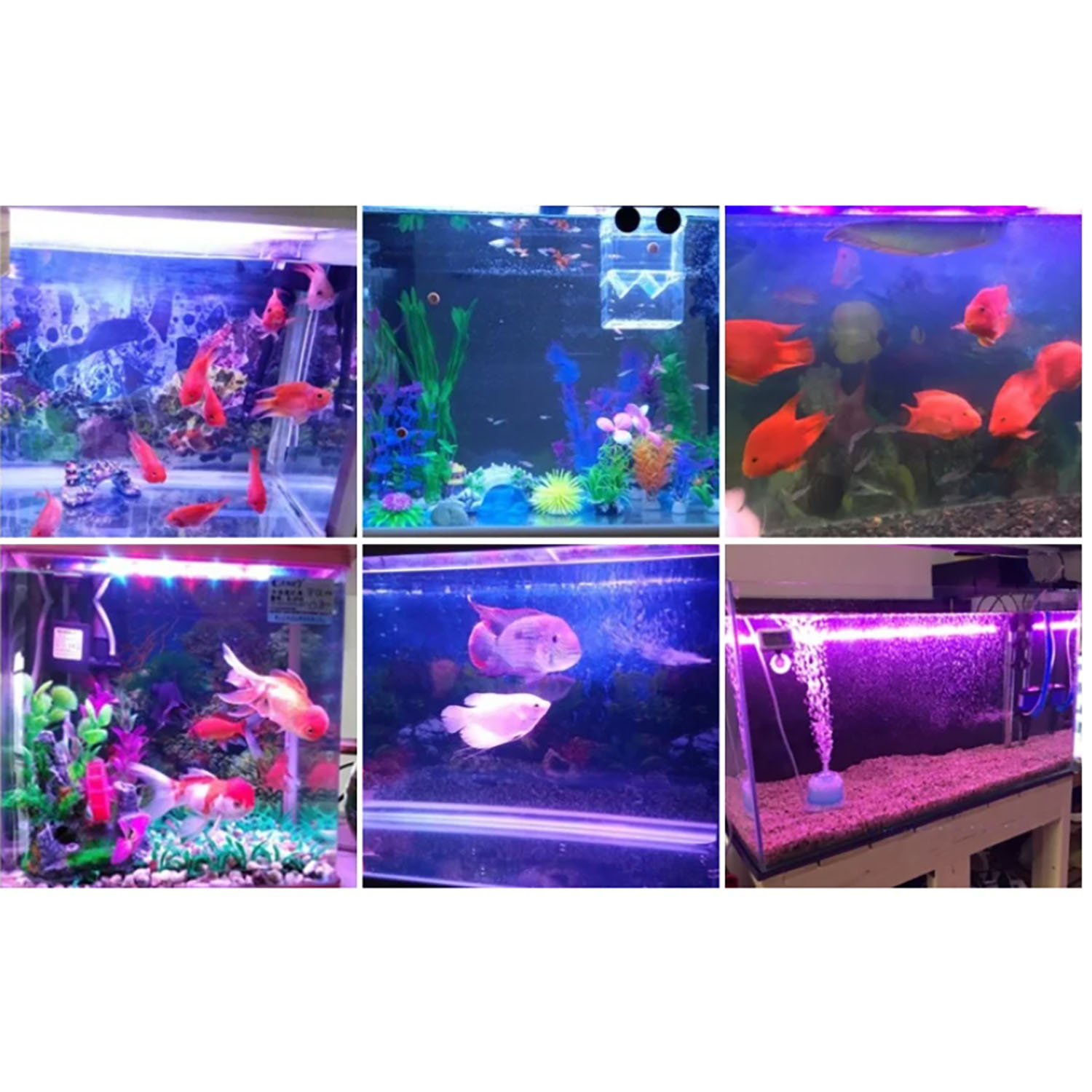 Illuminazione LED per Acquario - Aquarium Blue Marine recensione e prezzo