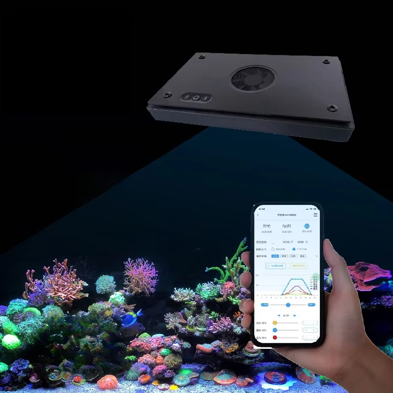 II Max/Blue 2.0 Generazione 24 - Aquarium Blue Marine recensione e prezzo