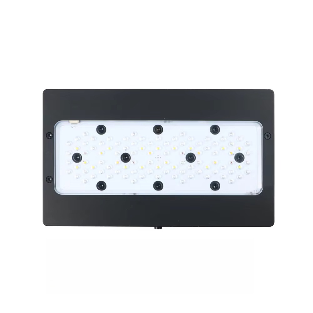 II Max/Blue 2.0 Generazione 24 - Aquarium Blue Marine recensione e prezzo